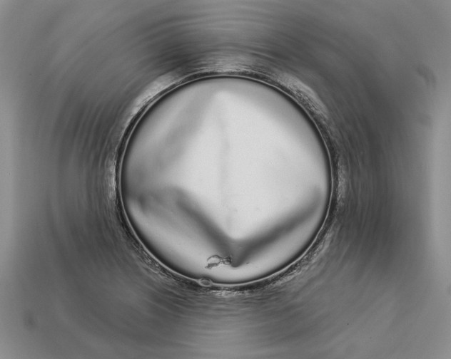 X0000112721226200909101440