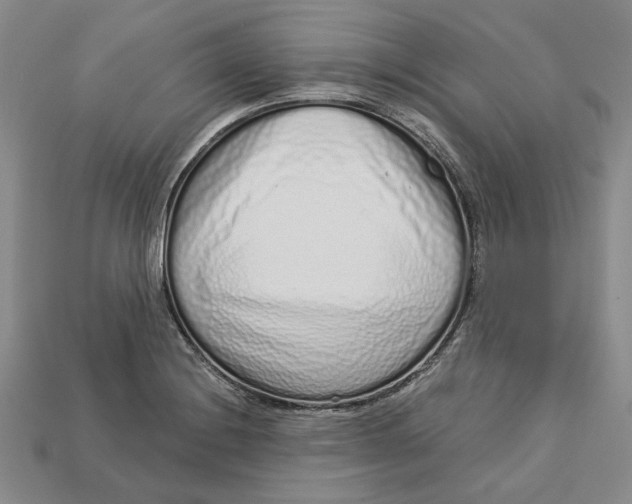 X0000112721228200909101440