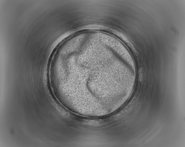 X0000112721229200909101440