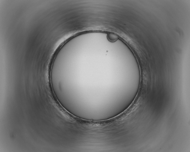 X0000112721230200909101440