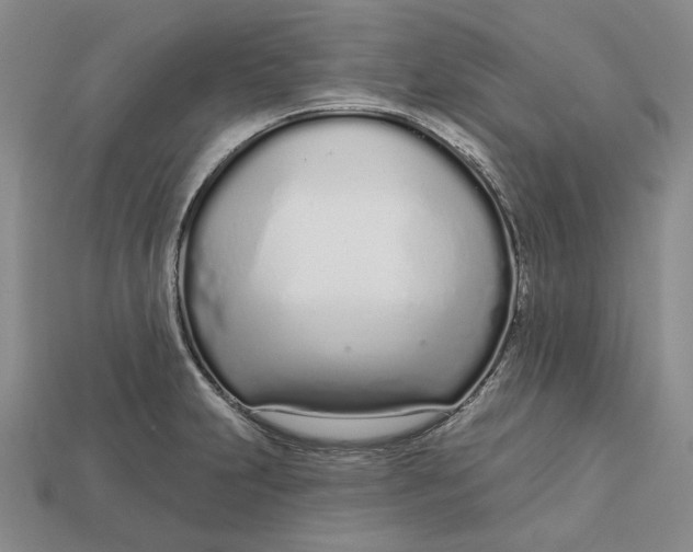 X0000112721231200909101440