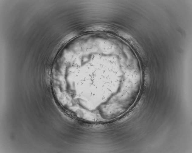 X0000112721233200909101440