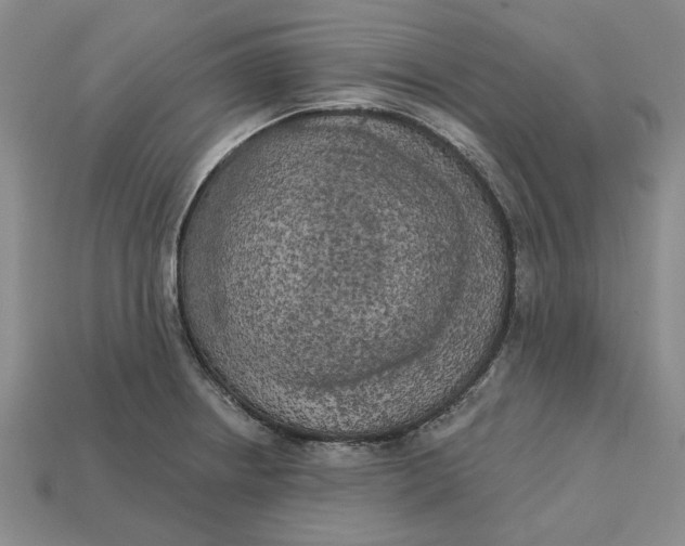 X0000112721234200909101440