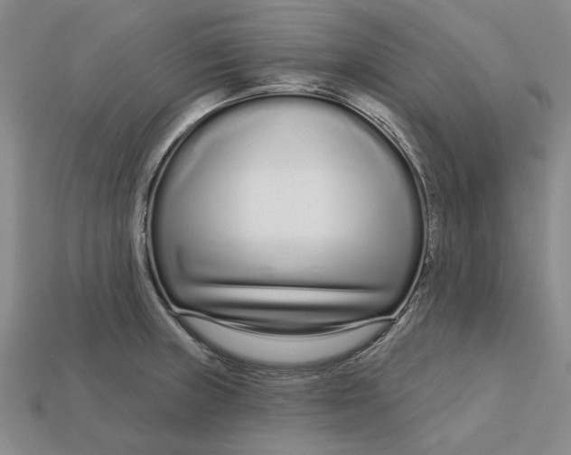 X0000112721235200909101440