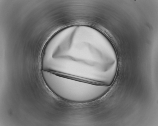 X0000112721236200909101440