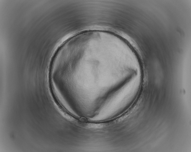 X0000112721237200909101440