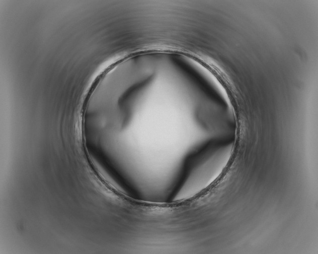 X0000112721238200909101440