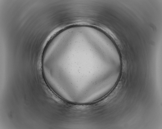 X0000112721240200909101440