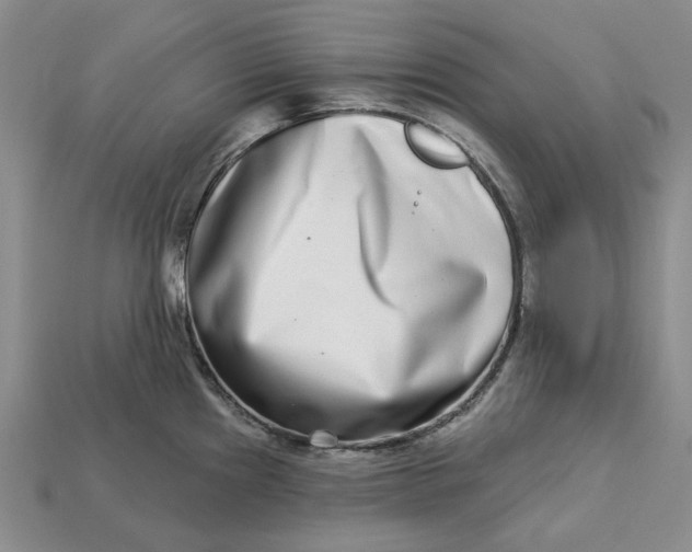 X0000112721241200909101440