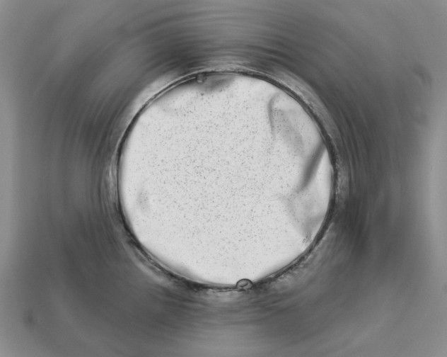 X0000112721242200909101440