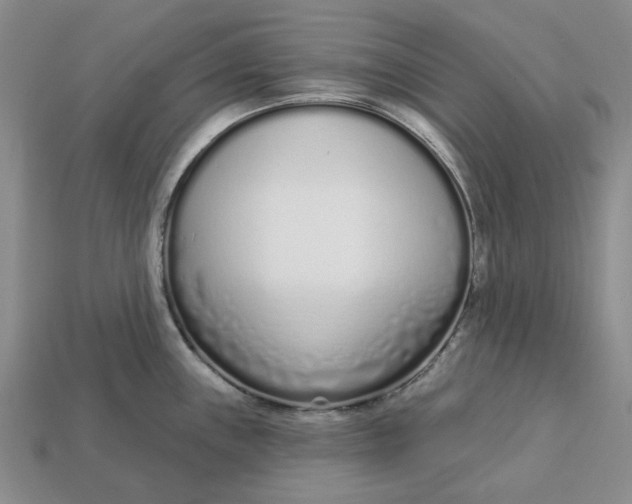 X0000112721243200909101440