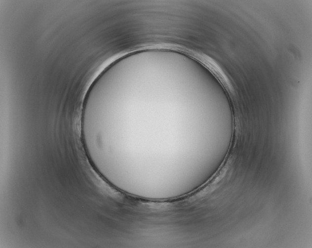 X0000112721244200909101440