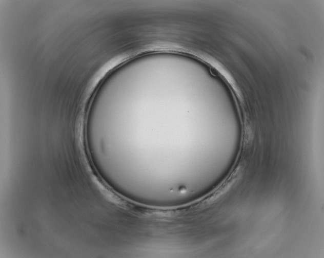 X0000112721245200909101440