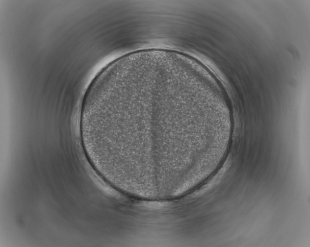 X0000112721246200909101440