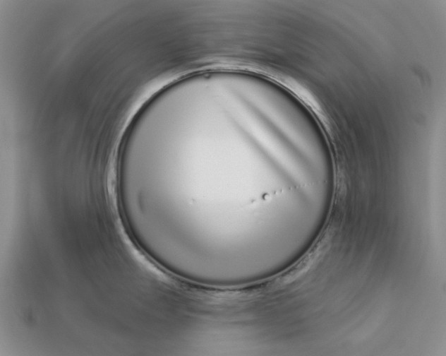 X0000112721247200909101440