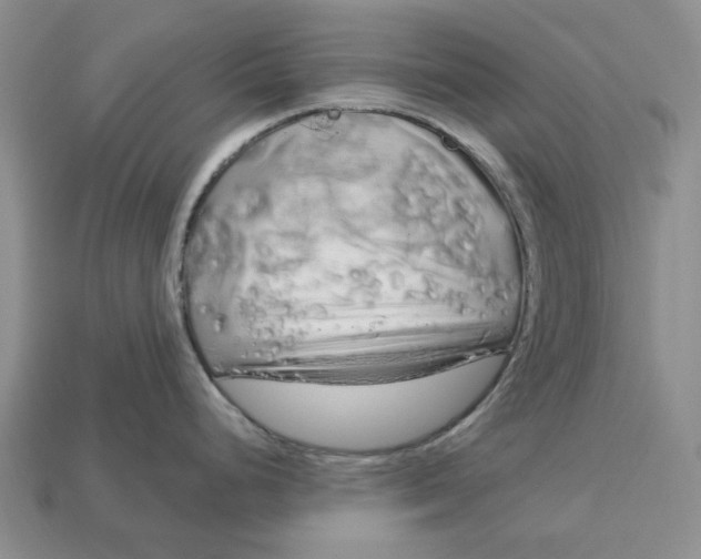 X0000112721248200909101440