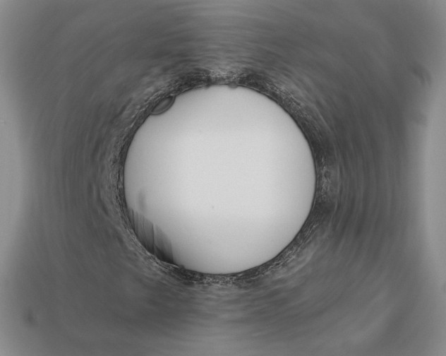 X0000112721249200909101439