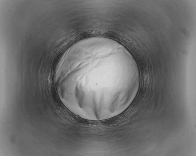 X0000112721250200909101439