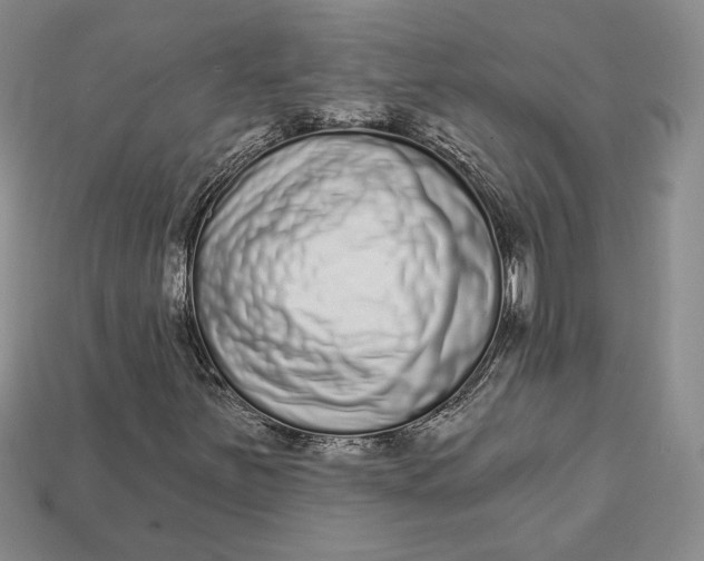 X0000112721251200909101439