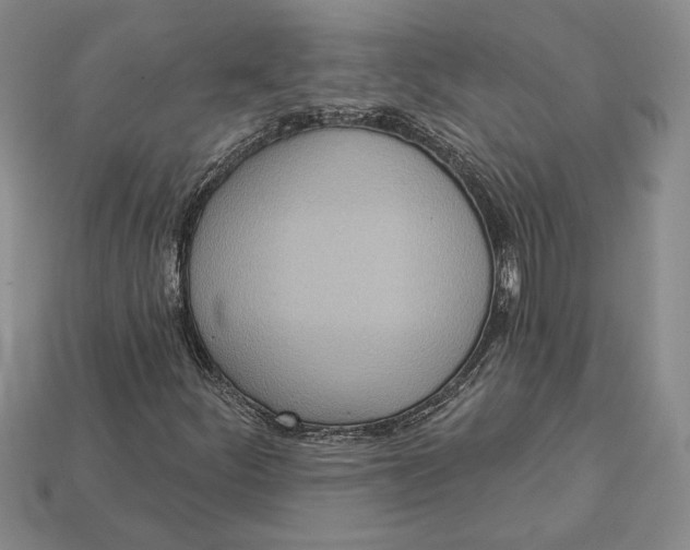 X0000112721252200909101439