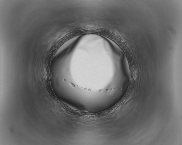 X0000112721253200909101439