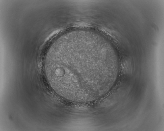 X0000112721254200909101439