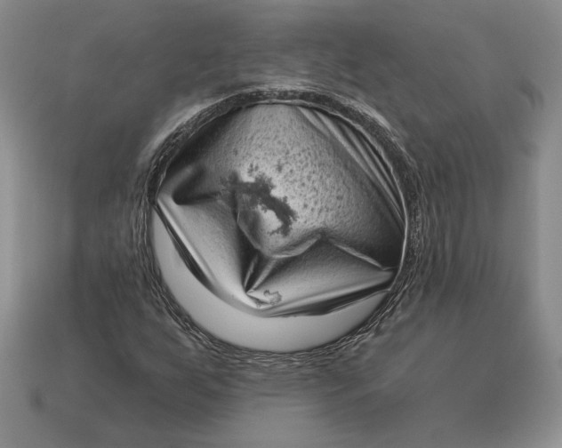 X0000112721255200909101439