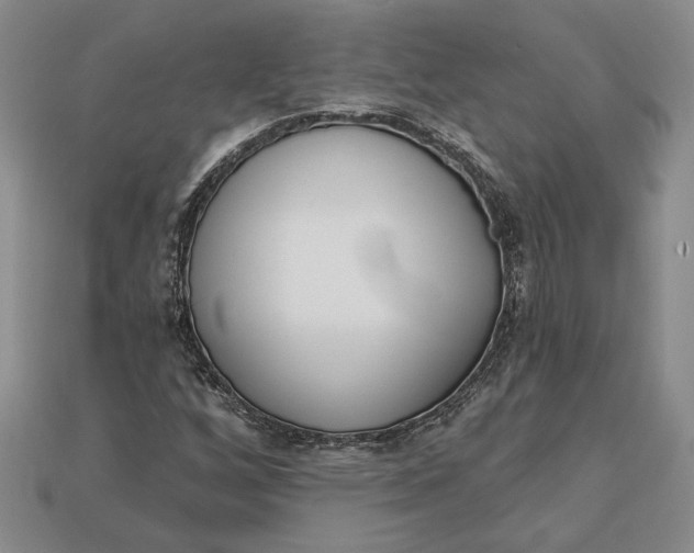 X0000112721256200909101439