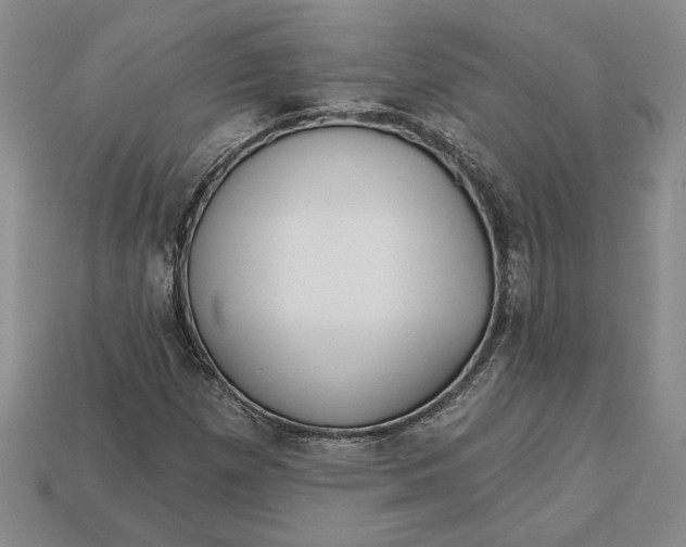 X0000112721257200909101439