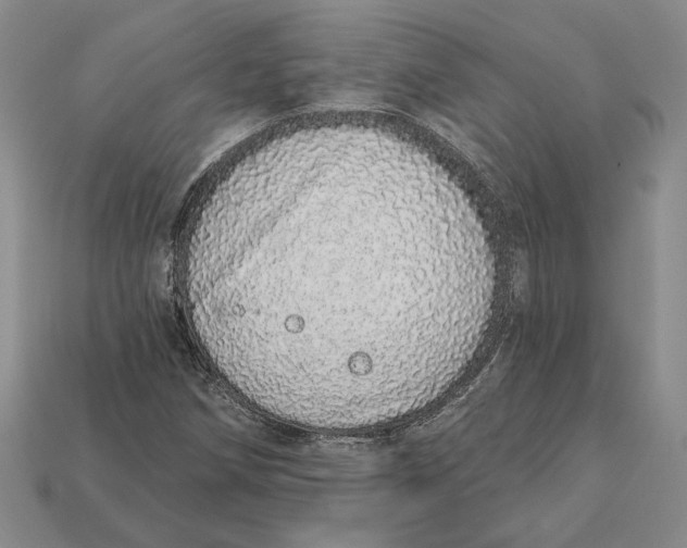 X0000112721258200909101439