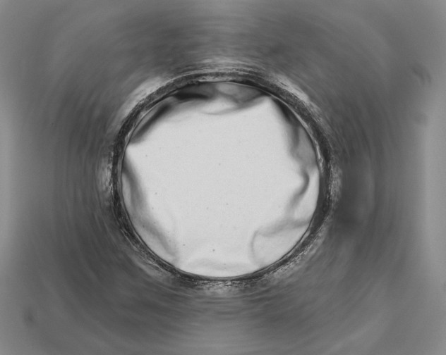 X0000112721259200909101439