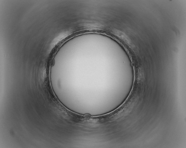 X0000112721261200909101439