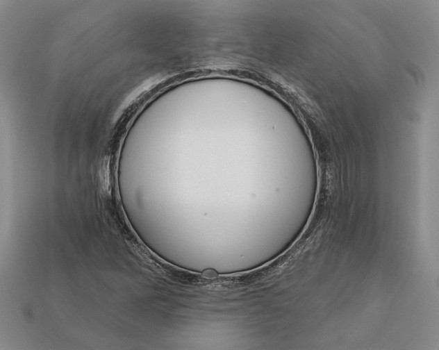 X0000112721262200909101439