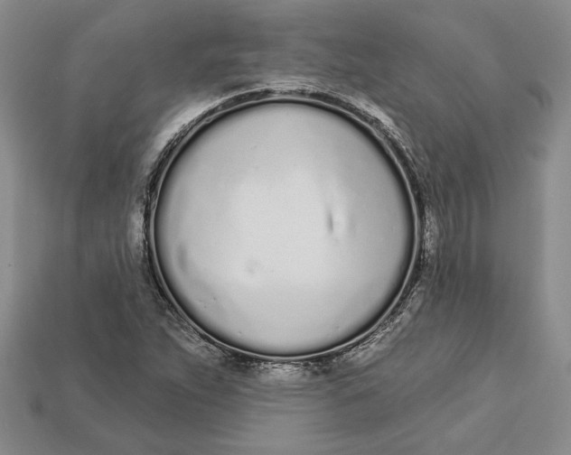 X0000112721263200909101439