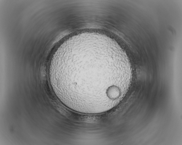 X0000112721266200909101439