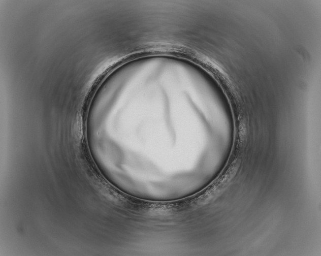 X0000112721267200909101439