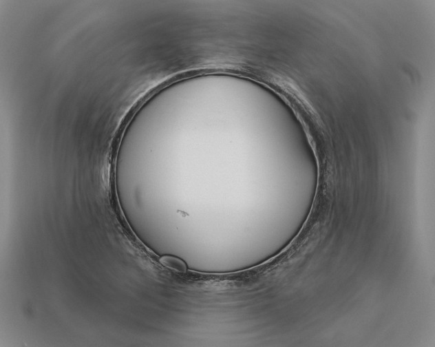 X0000112721268200909101439