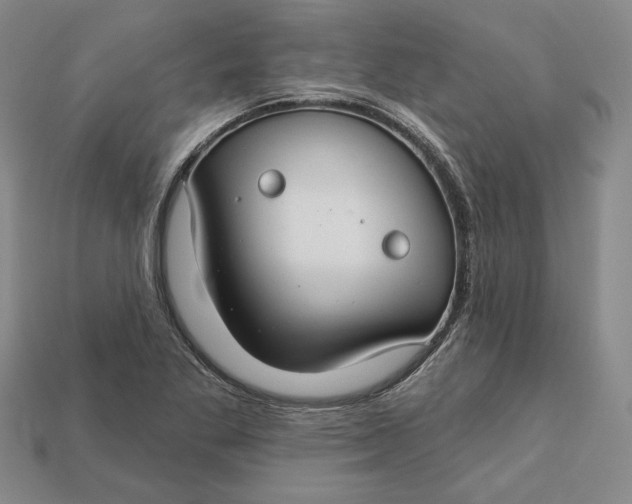 X0000112721269200909101439