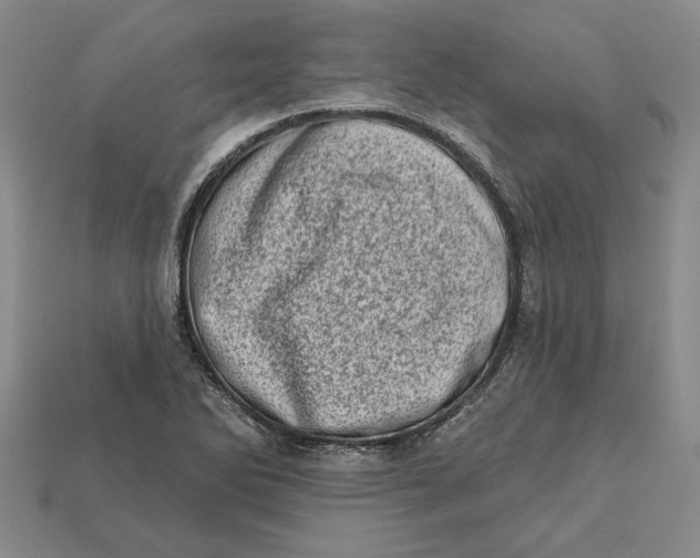 X0000112721270200909101439