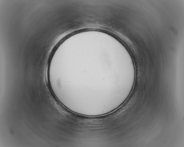 X0000112721272200909101439