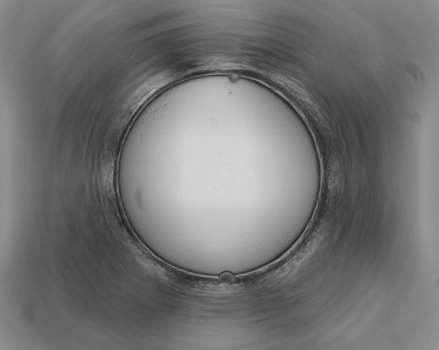 X0000112721273200909101439