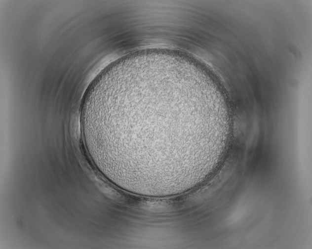 X0000112721274200909101439