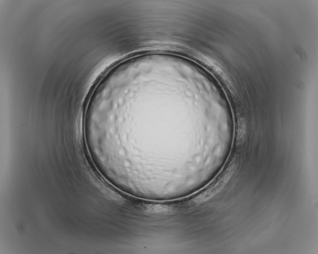 X0000112721275200909101439