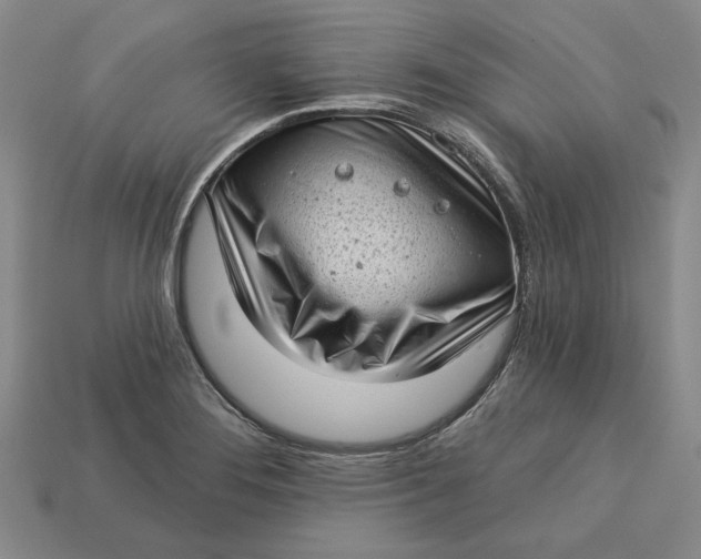 X0000112721276200909101439