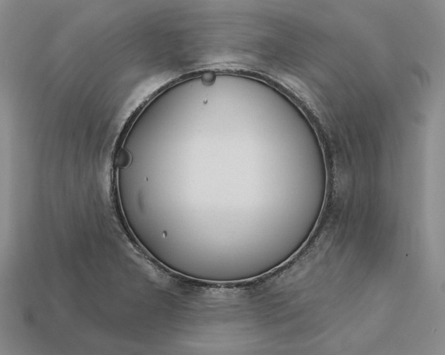 X0000112721277200909101439