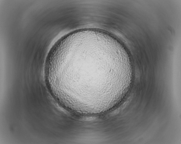 X0000112721278200909101439