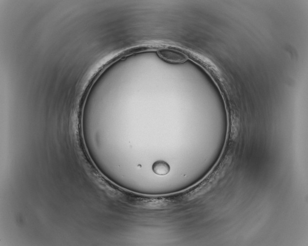 X0000112721279200909101439