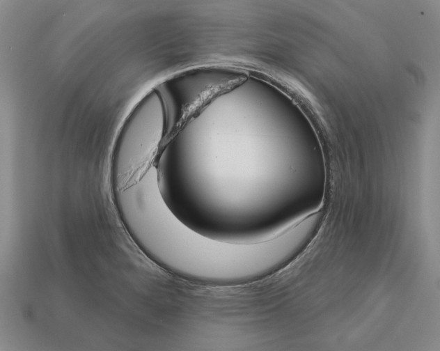 X0000112721280200909101439