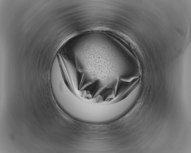 X0000112721281200909101439