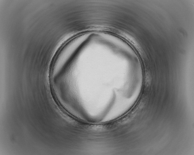 X0000112721283200909101439